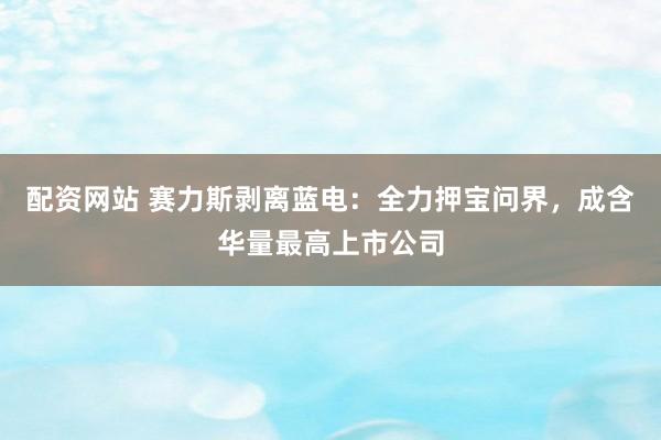 配资网站 赛力斯剥离蓝电:全力押宝问界,成含华量最高上市公司