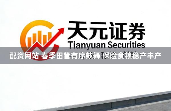 配资网站 春季田管有序鼓舞 保险食粮稳产丰产